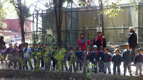 Nursery to class 2 students Jawalakhel zoo visit 2071